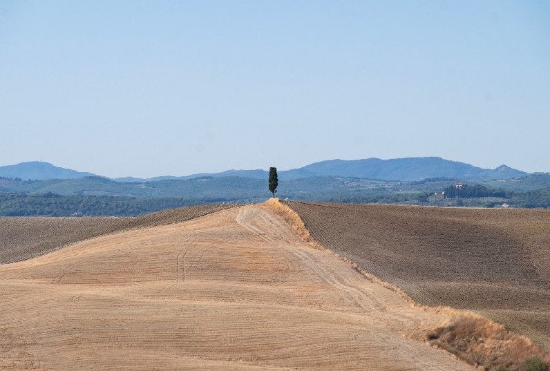 Figura su un crinale di colline